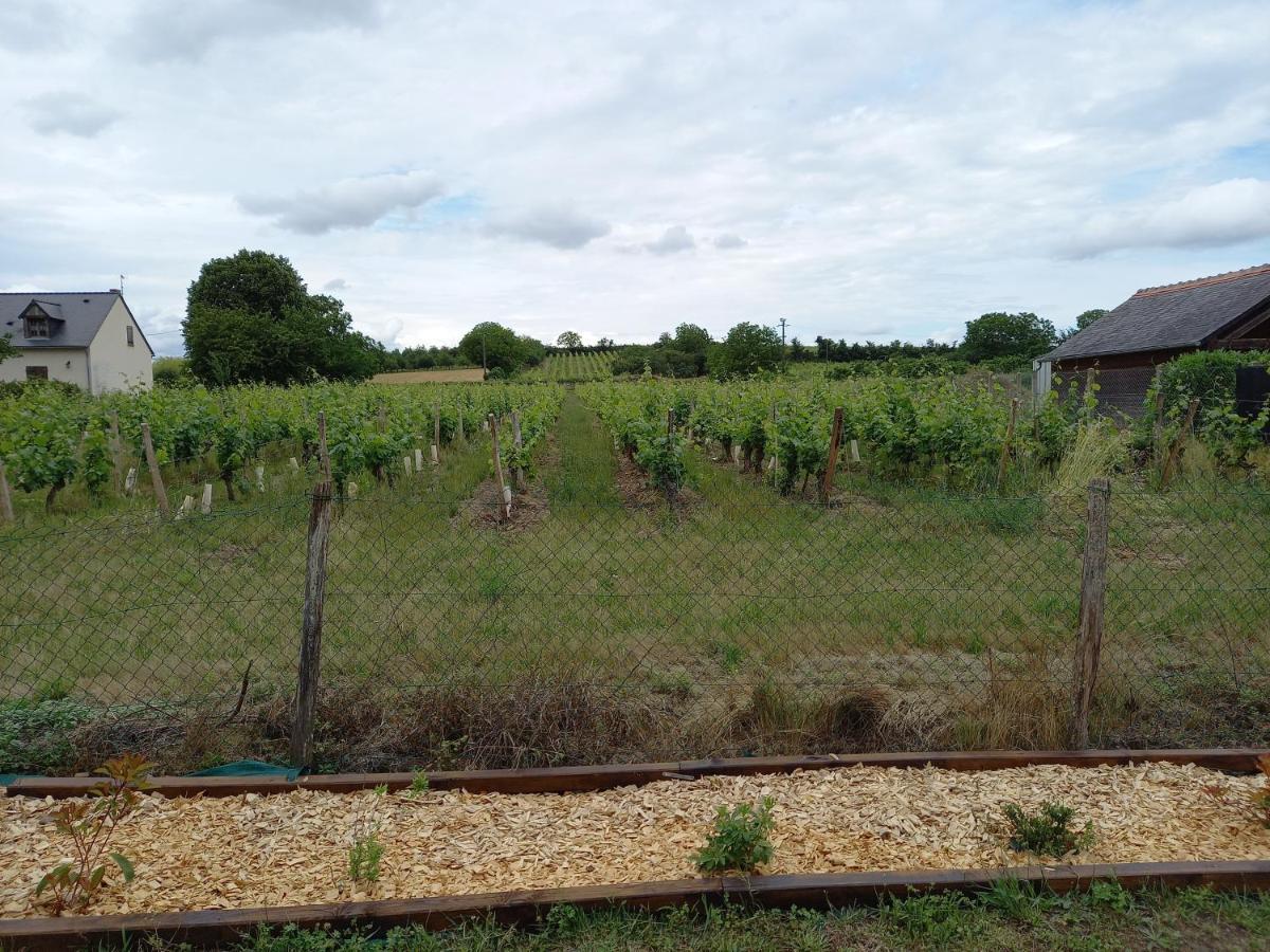 Hebergement Sarment Du Veron Chinon Βίλα Beaumont-en-Véron Εξωτερικό φωτογραφία