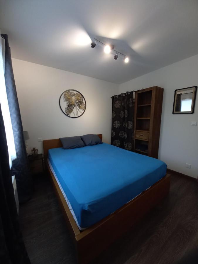 Hebergement Sarment Du Veron Chinon Βίλα Beaumont-en-Véron Εξωτερικό φωτογραφία